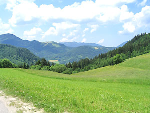 Berge und Almen in sterreich